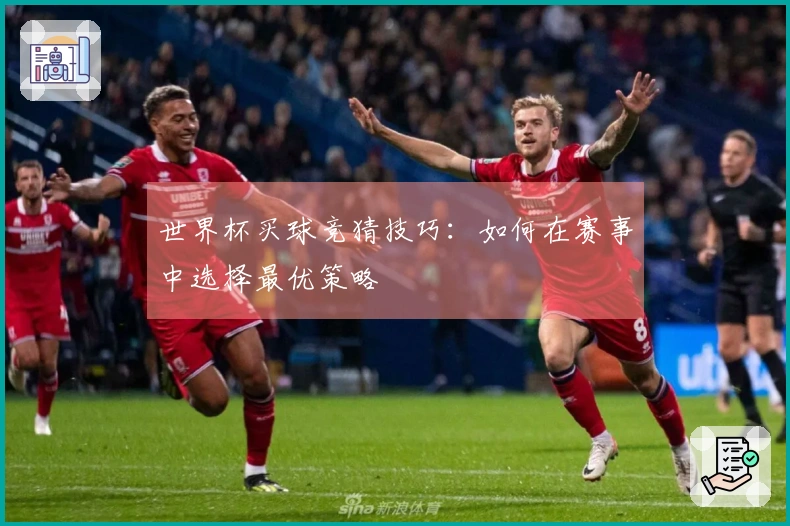 世界杯买球竞猜技巧：如何在赛事中选择最优策略