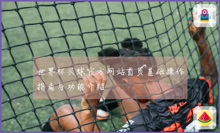 世界杯买球官方网站首页基础操作指南与功能介绍