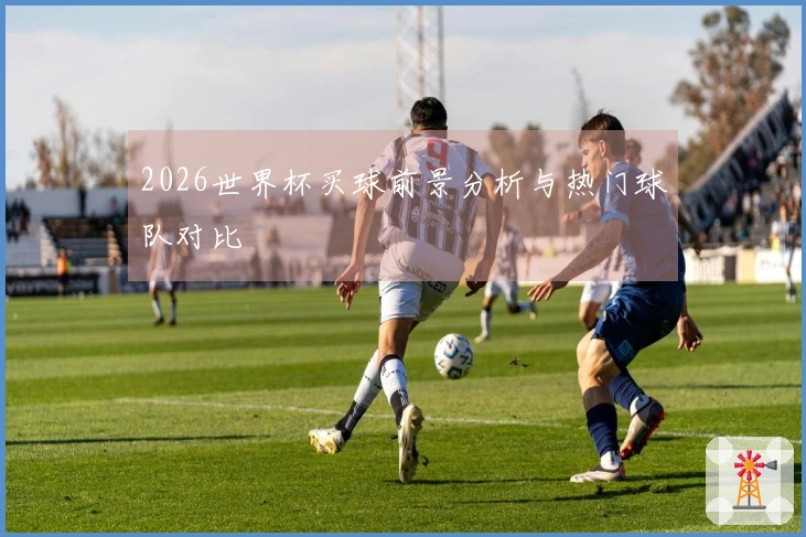 2026世界杯买球前景分析与热门球队对比