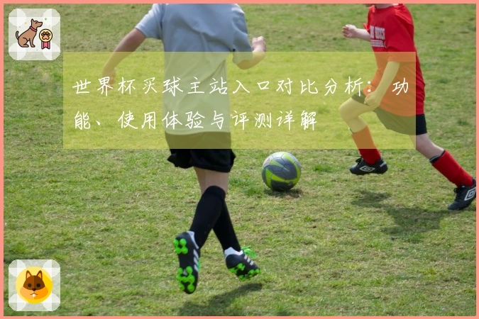 世界杯买球主站入口对比分析：功能、使用体验与评测详解