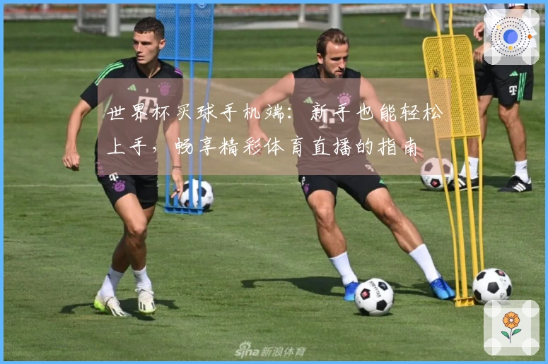 世界杯买球手机端：新手也能轻松上手，畅享精彩体育直播的指南