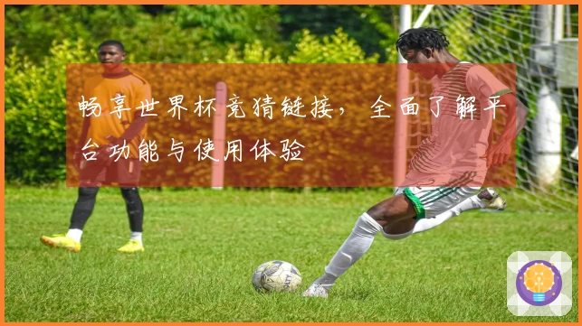 畅享世界杯竞猜链接，全面了解平台功能与使用体验