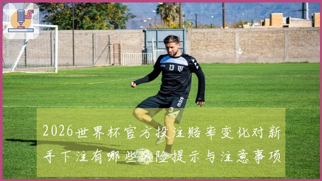 2026世界杯官方投注赔率变化对新手下注有哪些风险提示与注意事项