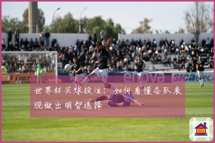 世界杯买球投注：如何看懂各队表现做出明智选择