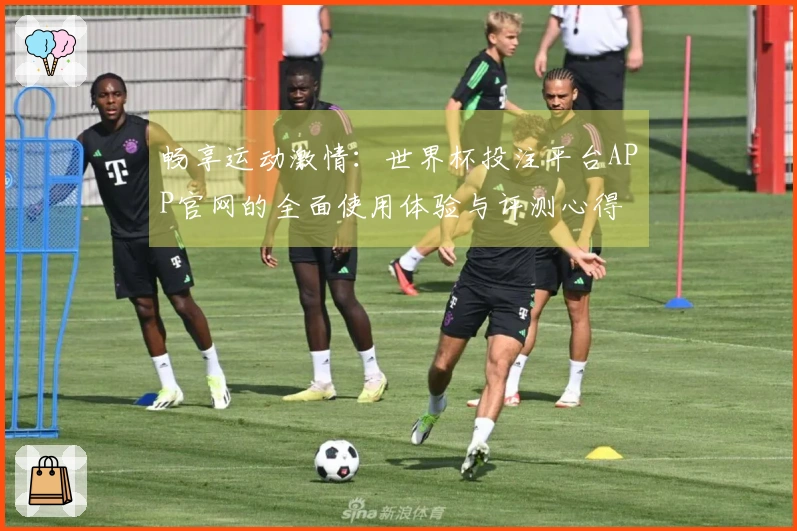 畅享运动激情：世界杯投注平台APP官网的全面使用体验与评测心得