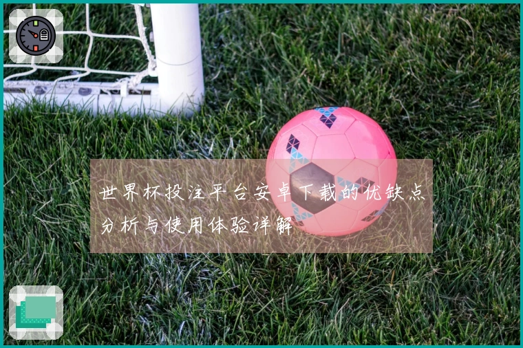 世界杯投注平台安卓下载的优缺点分析与使用体验详解